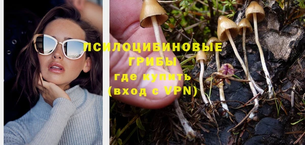 каннабис Баксан