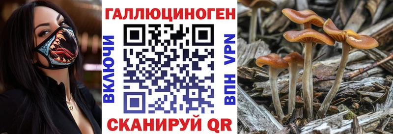 блэк спрут tor  Семилуки  Псилоцибиновые грибы мухоморы 
